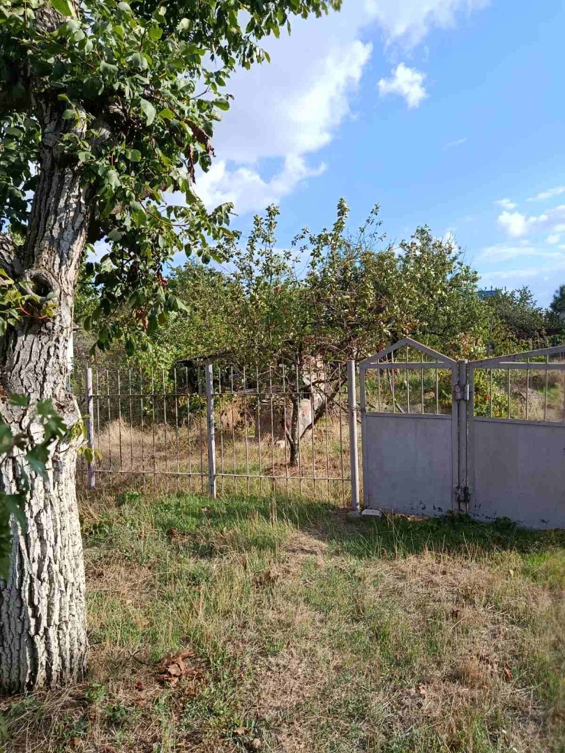 продажа участка номер L-174468 в Светлом, фото номер 3